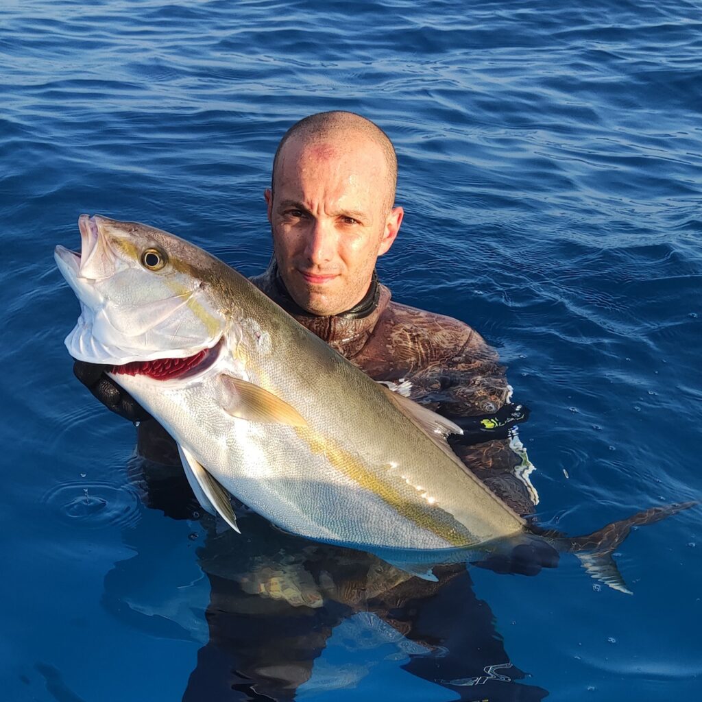 Ricciola